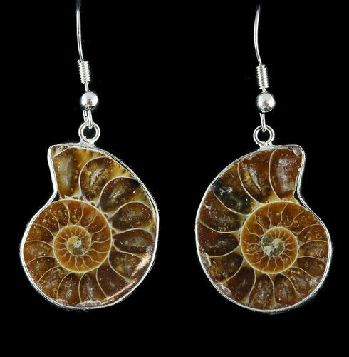 Fossil Ammonite Earrings - Million Years Old #48842